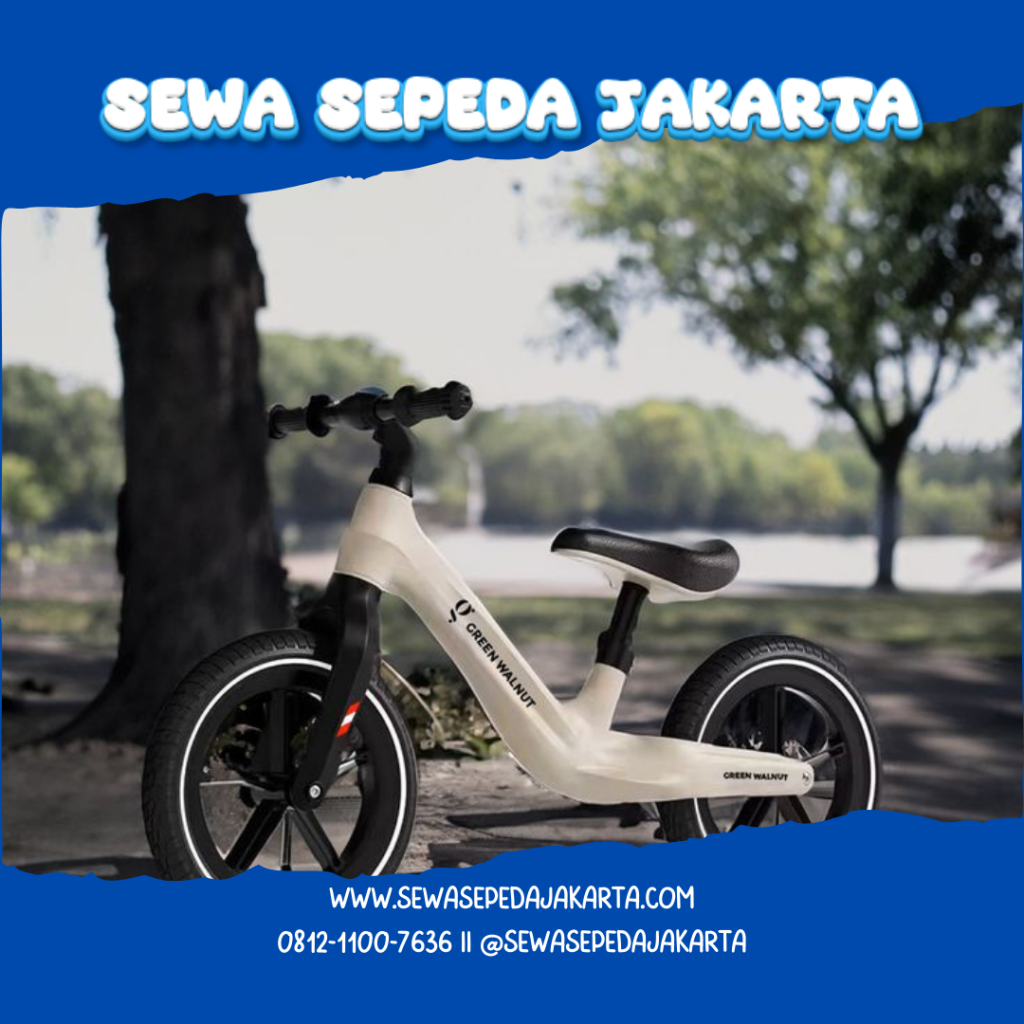 model sepeda anak