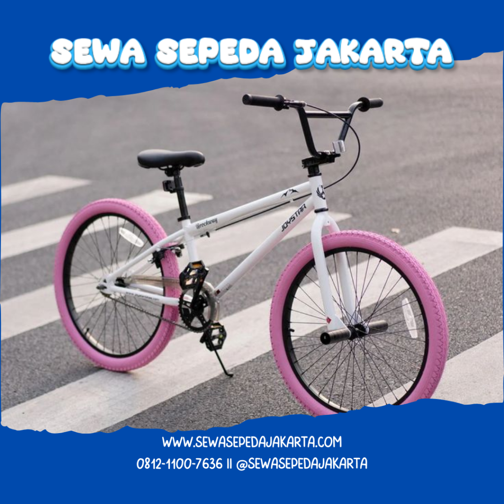 model sepeda anak 