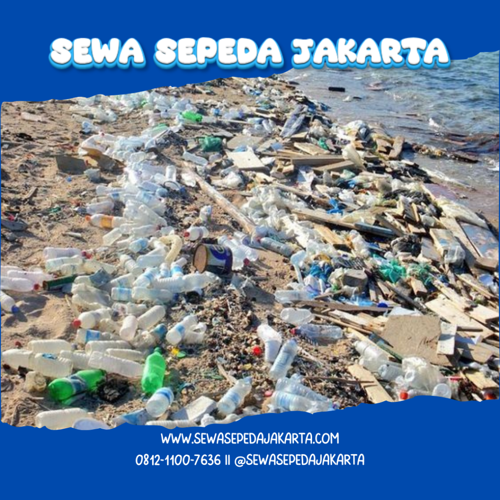 Dmpak negatif pariwisata