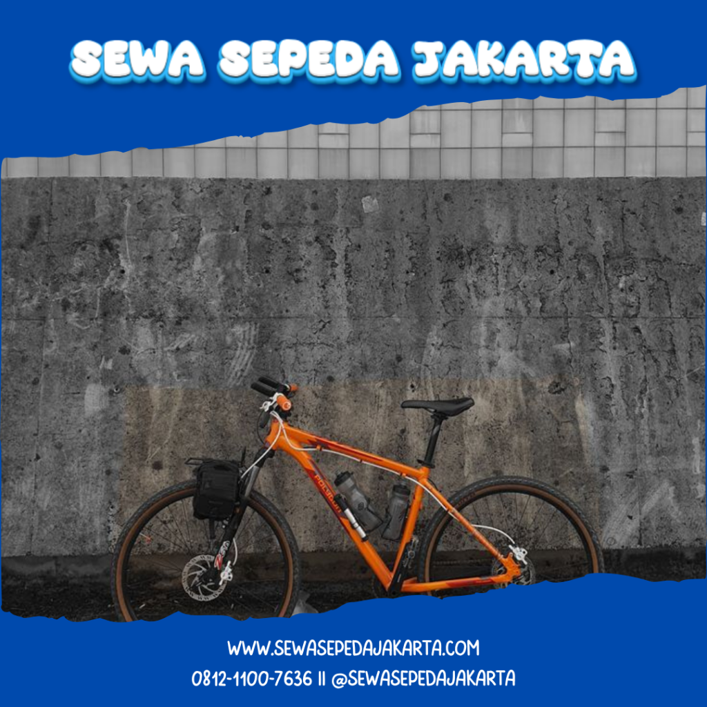 Sepeda Hybrid untuk Disewa